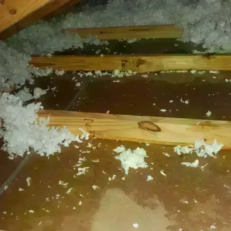 Attic Water Damage in Caruthersville, MO